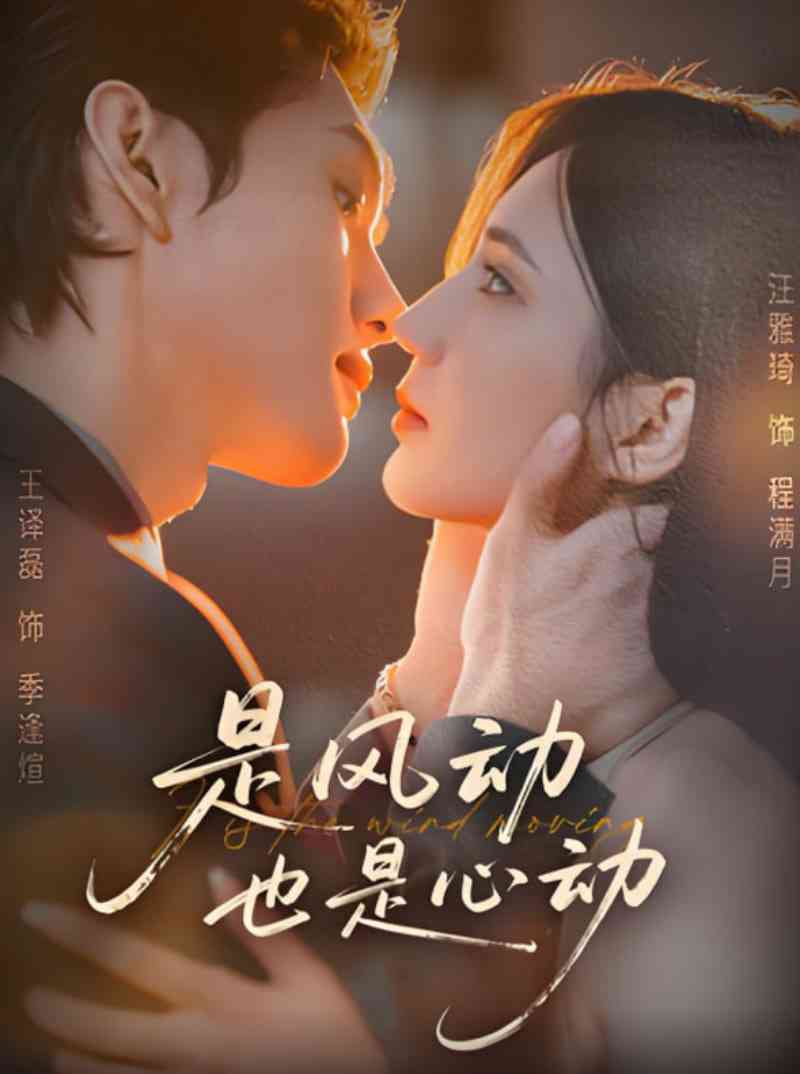 《是风动也是心动》全集免费高清短剧无广告在线播放|短剧·中国大陆·2025