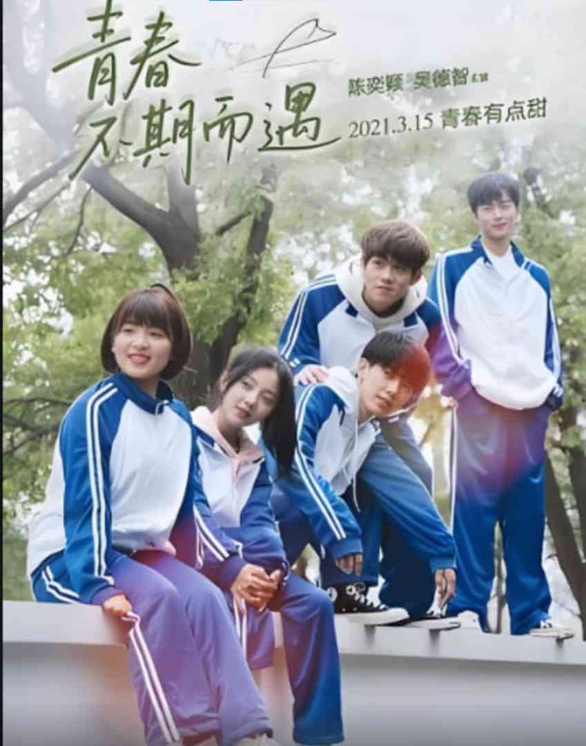 《青春不期而遇》全集免费高清短剧无广告在线播放|短剧·中国大陆·2025