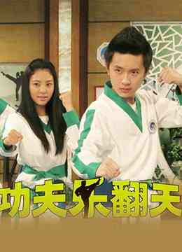 《功夫乐翻天》全集免费高清电视剧无广告在线播放|剧情,儿童·中国大陆·2015