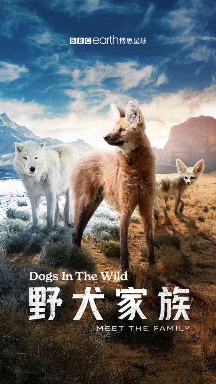 《野犬家族》最新免费高清电影无广告在线播放|纪录片·英国·2023