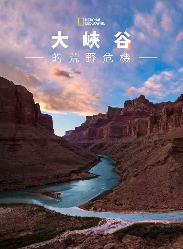 《大峡谷的荒野危机》最新免费高清电影无广告在线播放|纪录片·美国·2019