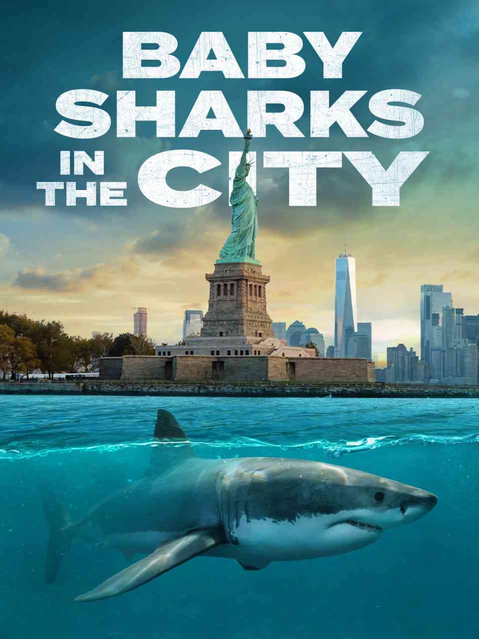 《城市里的鲨鱼宝宝》最新免费高清电影无广告在线播放|记录·美国·2024