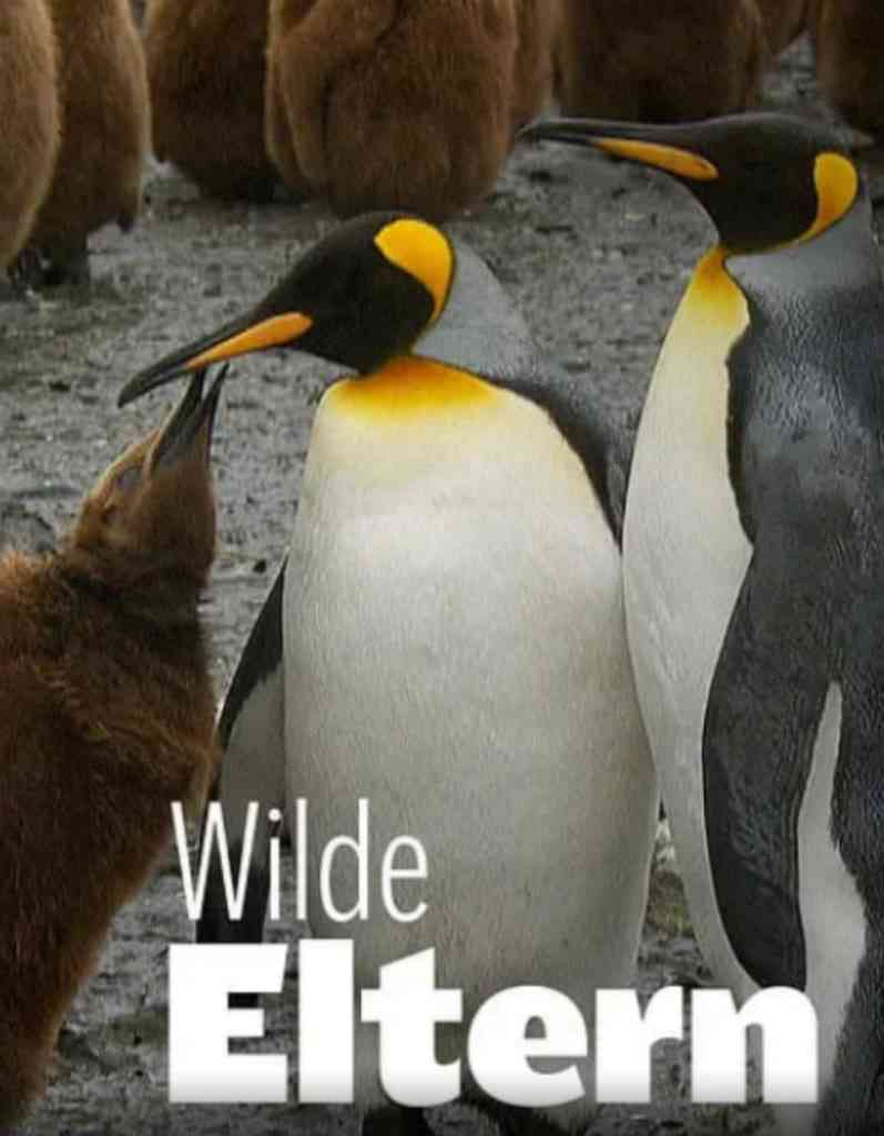 《大自然中的父母之爱 第一季》最新免费高清电影无广告在线播放|纪录片·德国·2024