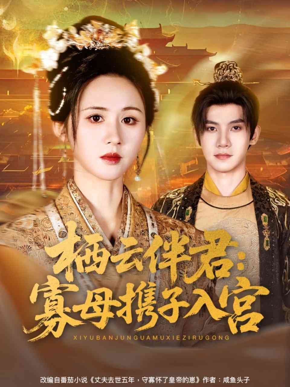 《栖云伴君寡母携子入宫》全集免费高清短剧无广告在线播放|短剧·中国大陆·2025