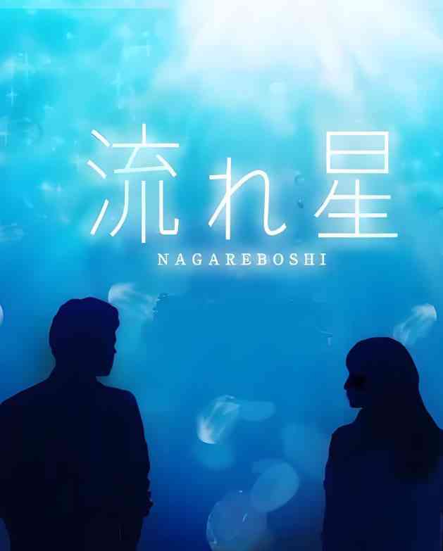 《流星》全集免费高清电视剧无广告在线播放|剧情,爱情·日本·2010