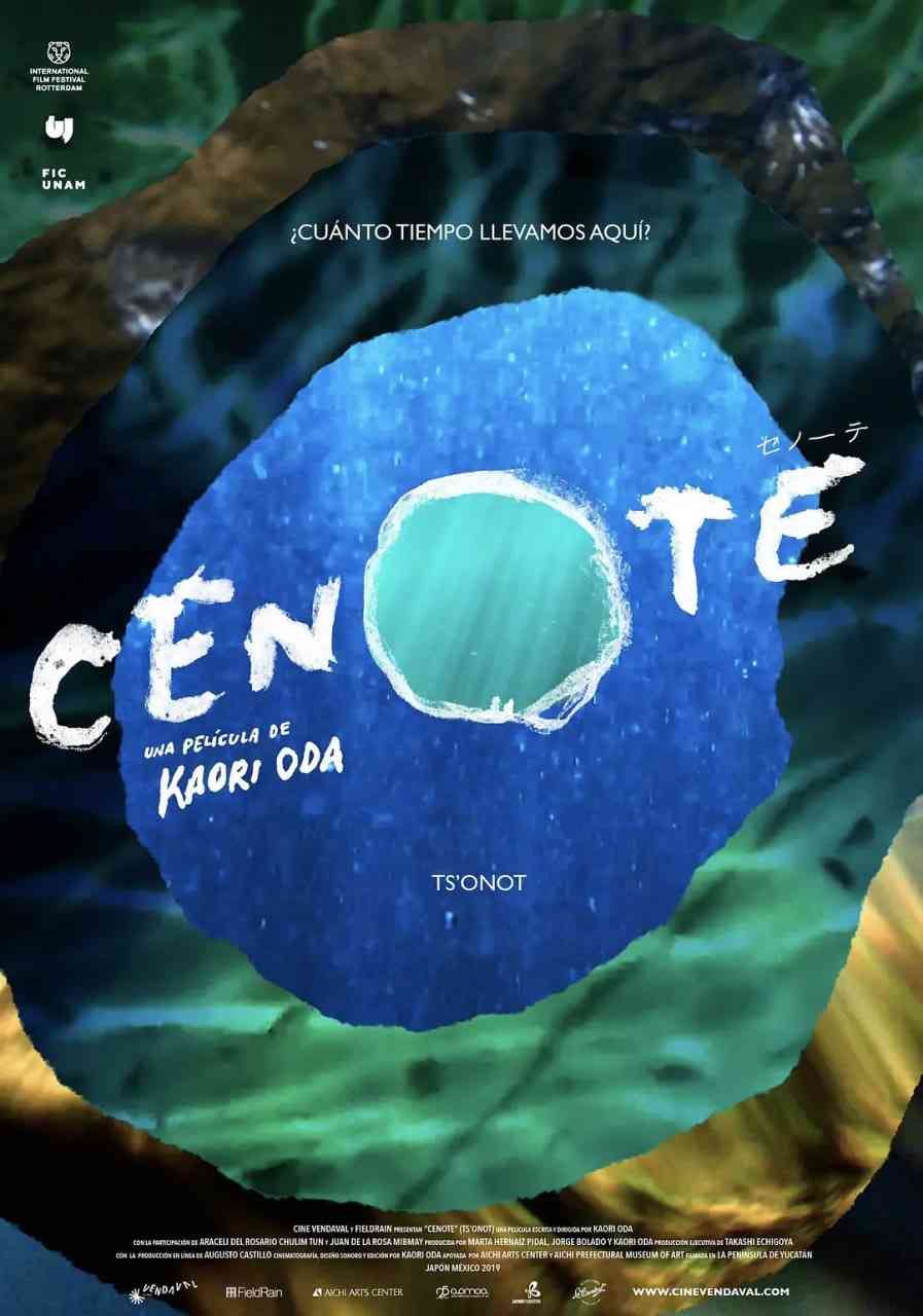 《沉洞泉》最新免费高清电影无广告在线播放|纪录片·日本·2019