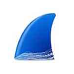 《Wireshark精简版》软件免费下载|系统工具·4.4.0.0