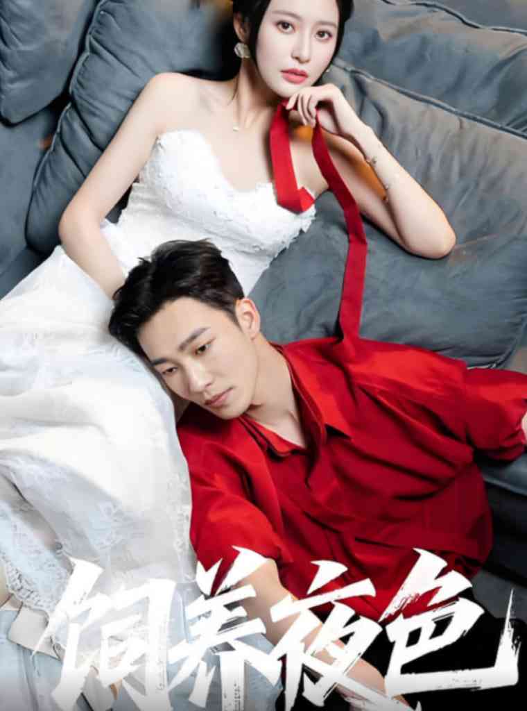 《饲养夜色》全集免费高清短剧无广告在线播放|短剧·中国大陆·2025