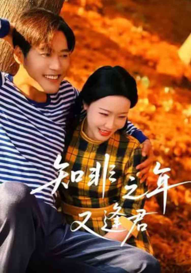 《知非之年又逢君》全集免费高清短剧无广告在线播放|短剧·中国大陆·2025