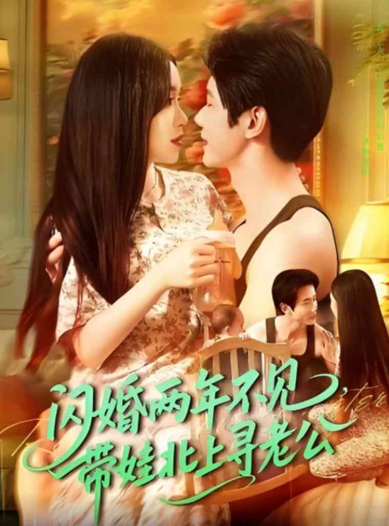 《闪婚两年不见带娃北上寻老公》全集免费高清短剧无广告在线播放|短剧·中国大陆·2025