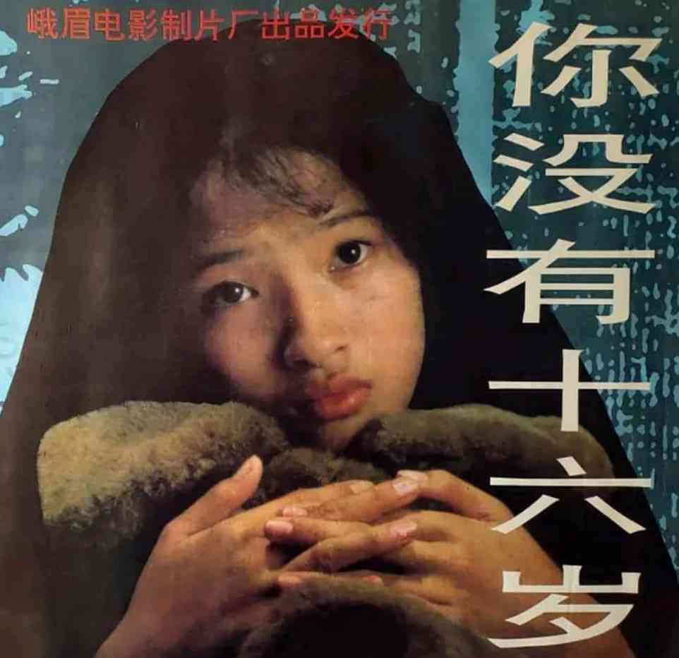 《你没有十六岁》最新免费高清电影无广告在线播放|家庭,儿童,灾难·中国大陆·1994