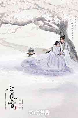 《七夜雪》全集免费高清电视剧无广告在线播放|爱情,武侠,古装·中国大陆·2024