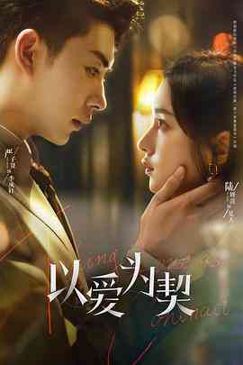 《以爱为契》全集免费高清电视剧无广告在线播放|剧情,爱情·中国大陆·2024