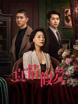 《真情假爱》全集免费高清电视剧无广告在线播放|剧情,家庭·中国大陆·2023
