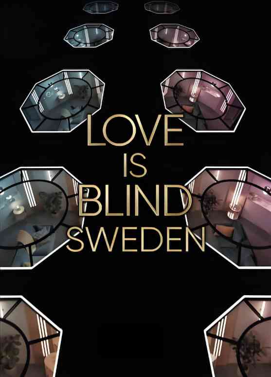 《爱情盲选：瑞典篇 第二季》全集免费高清综艺无广告在线播放|游戏节目,真人秀,浪漫·瑞典·2024