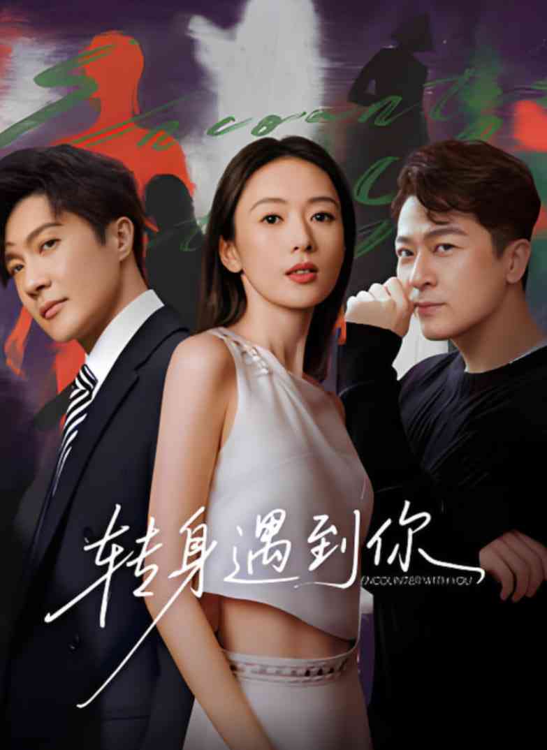 《转身遇到你》全集免费高清电视剧无广告在线播放|动作·中国大陆·2025