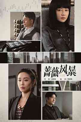 《蔷薇风暴》全集免费高清电视剧无广告在线播放|剧情,内地剧,国产·中国大陆·2024