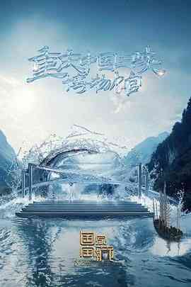 《国家宝藏 第四季》全集免费高清综艺无广告在线播放|真人秀,大陆综艺,综艺·中国大陆·2024